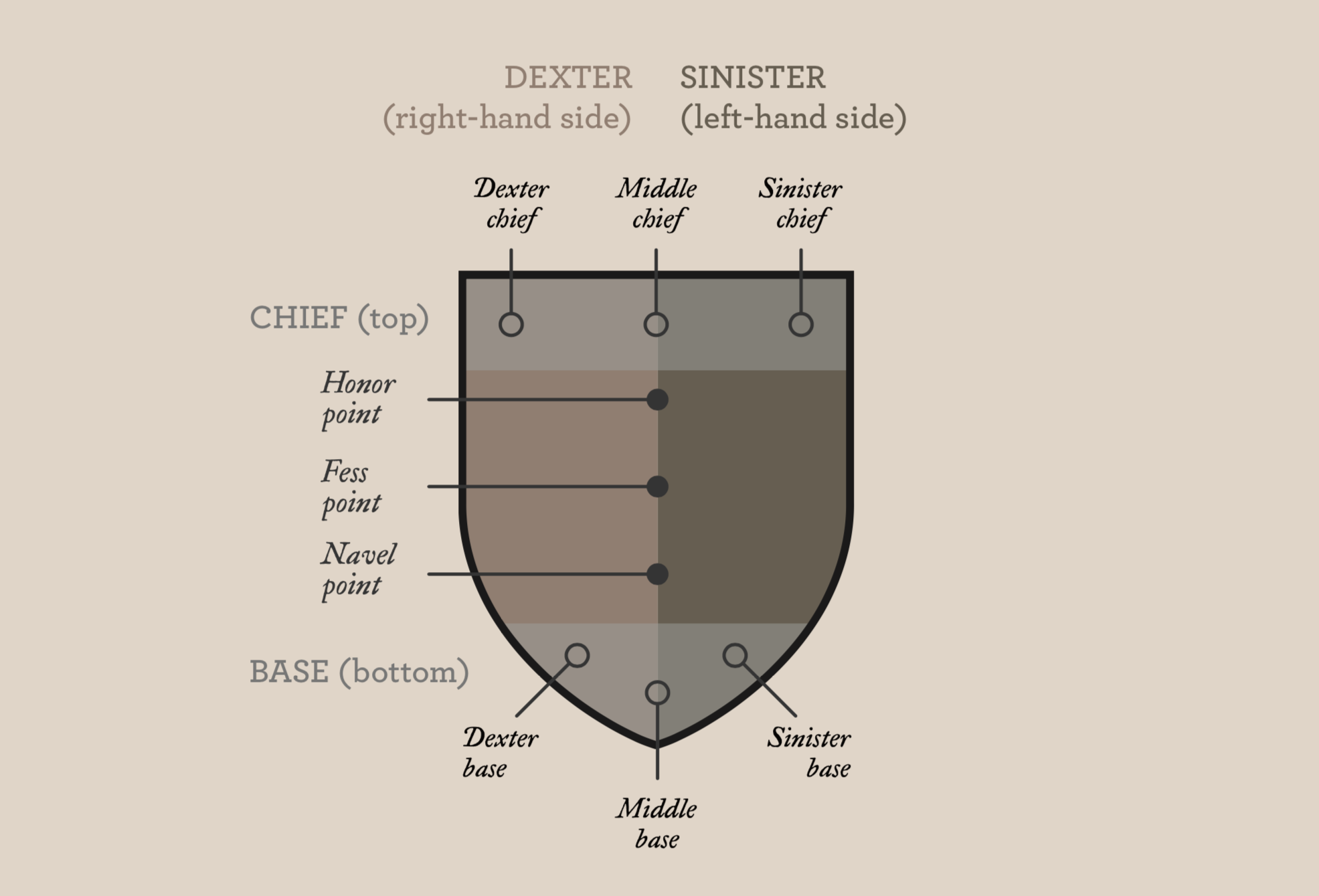 diagram depicting the specific areas of a shield