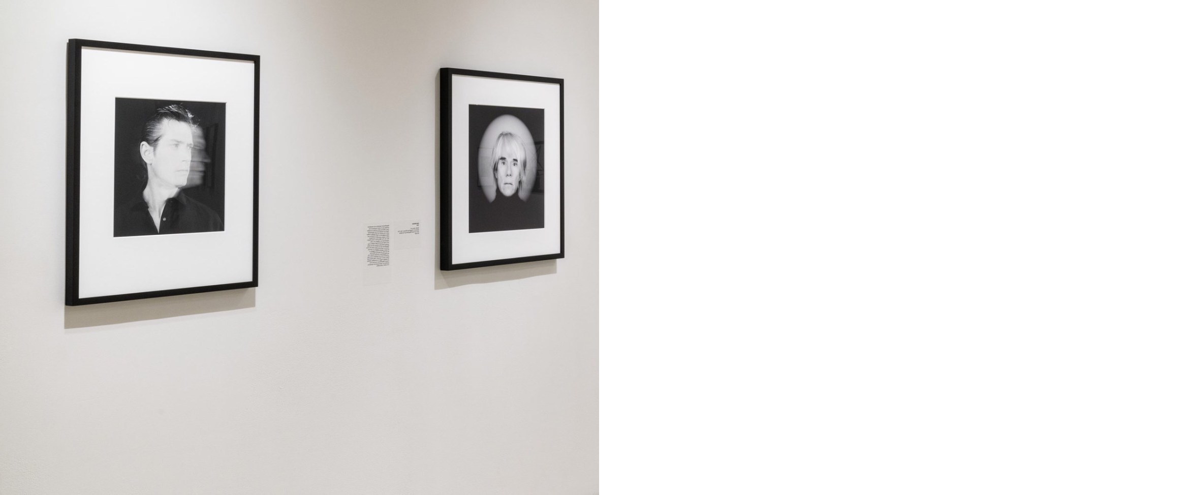 a single portrait